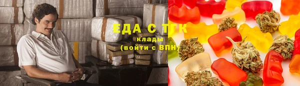 ПСИЛОЦИБИНОВЫЕ ГРИБЫ Горно-Алтайск