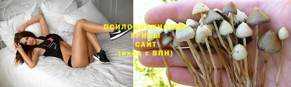 кокаин премиум Горнозаводск
