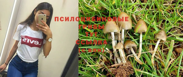 герыч Горняк