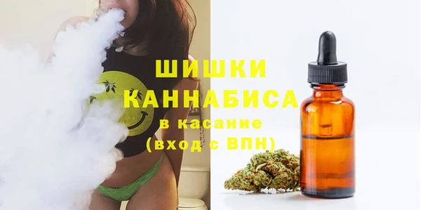 ПСИЛОЦИБИНОВЫЕ ГРИБЫ Горно-Алтайск
