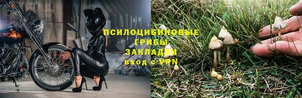 герыч Горняк