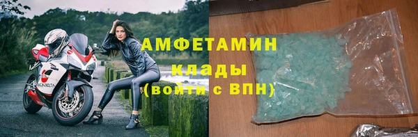 ПСИЛОЦИБИНОВЫЕ ГРИБЫ Горно-Алтайск