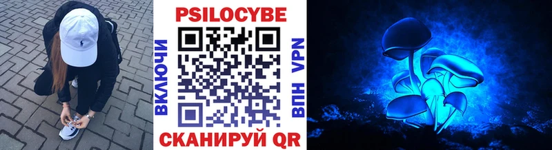 Псилоцибиновые грибы прущие грибы  Купить где  Болохово 